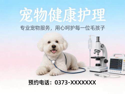 宠物医院/宠物店网站设计(新乡)打造专业宠物服务线上品牌.png 宠物医院/宠物店网站设计(新乡)打造专业宠物服务线上品牌.png